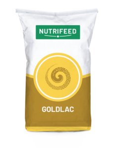 Goldlac