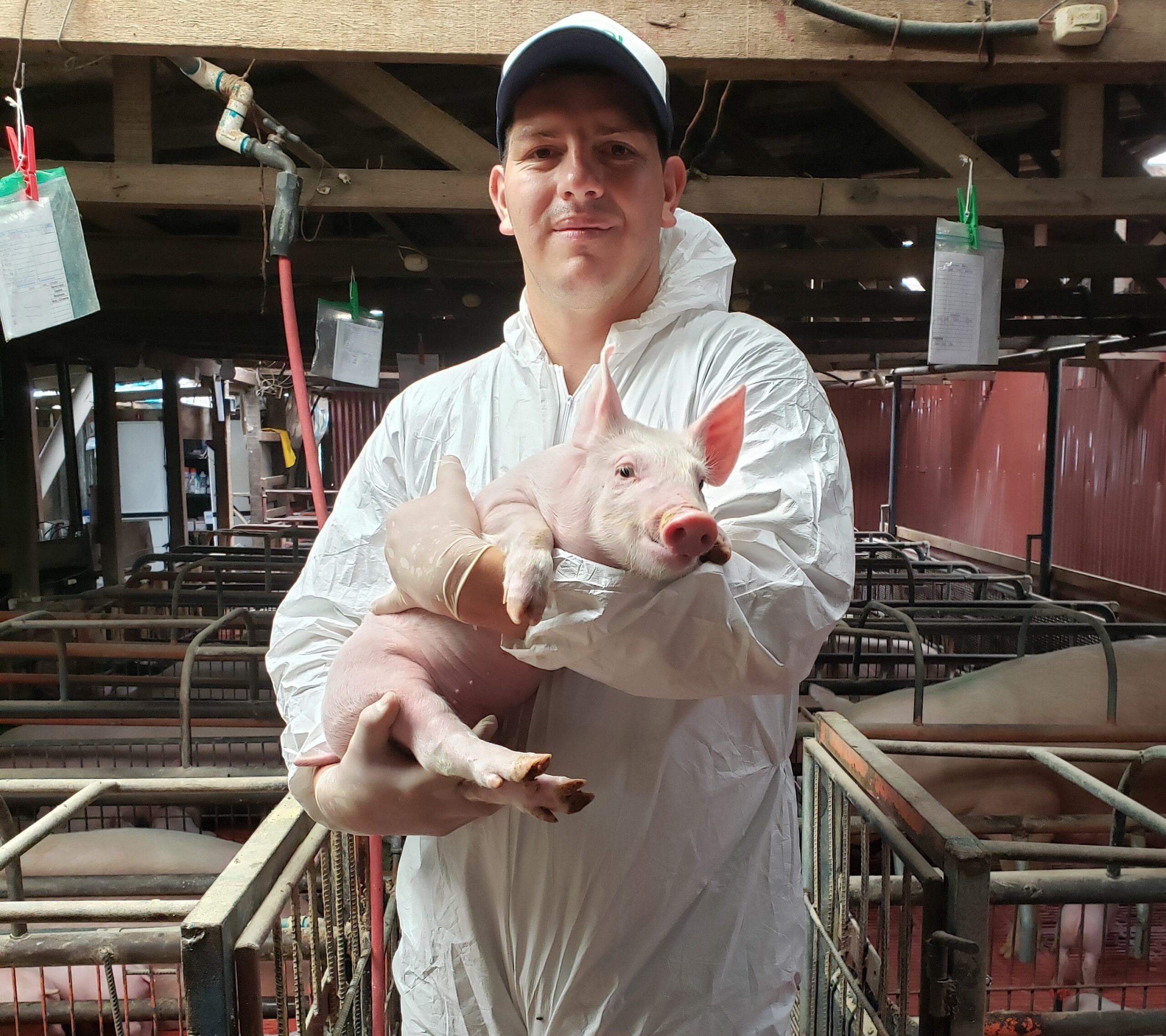 Sales and technical piglet representative holding piglet at a farm in Costa Rica