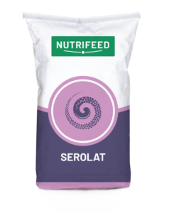 serolat verpakking paars