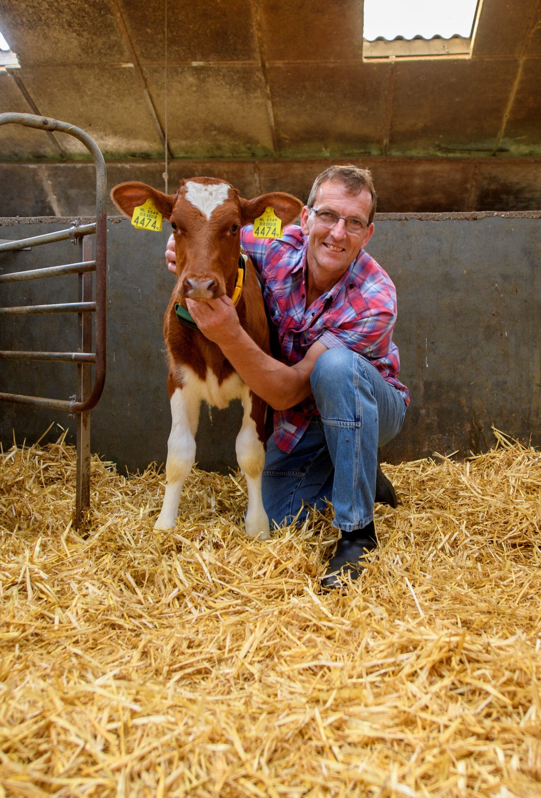farmer with calf